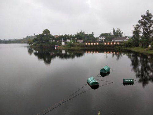 自贡搬迁一级保护区内居民&nbsp;原址进行复耕绿化(图2)