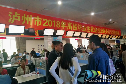 泸州高校毕业生专场招聘会&nbsp;205人达成意向(图1)