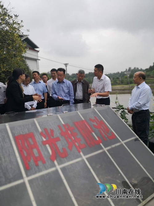 刘强调研泸县农村生活垃圾分类减量化处理工作(图2)