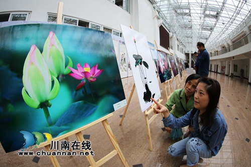 泸州龙马潭：廉洁书画摄影作品展迎“双节”(图6)