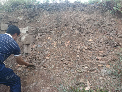合江村民地里挖出龙头神像&nbsp;隋唐古庙遗址？(图1)