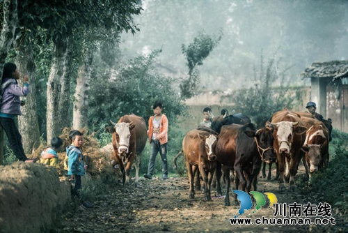 视觉殿堂！魏文星在自贡分享《影像的艺术》(图7)