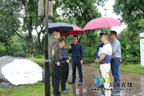 杨雷到江阳区张坝街道开展调研督导(图1)