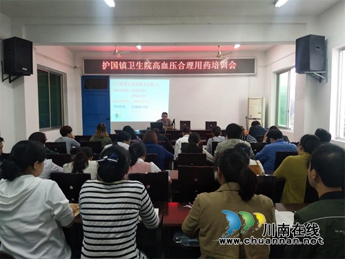 纳溪区护国镇卫生院开展狂犬病防控知识及高血压合理用药培训(图1)