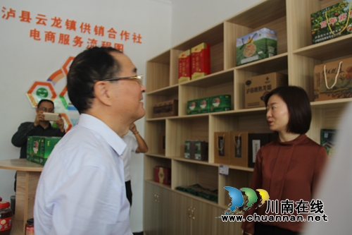 王波到泸县云龙镇调研供销合作社建设情况(图1)