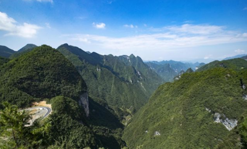 朱国富的“摇橹”人生(图1)