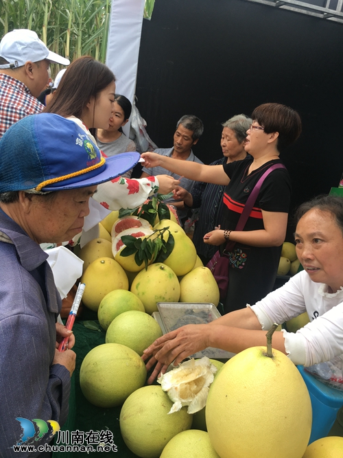 江阳干部群众欢庆首个中国农民丰收节(图5)