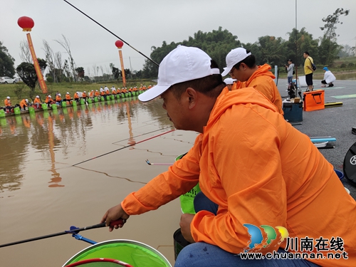 泸州：全国钓鱼精英邀请赛&nbsp;&nbsp;高手齐聚以钓会友(图4)