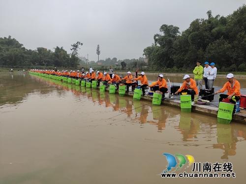 泸州：全国钓鱼精英邀请赛&nbsp;&nbsp;高手齐聚以钓会友(图7)