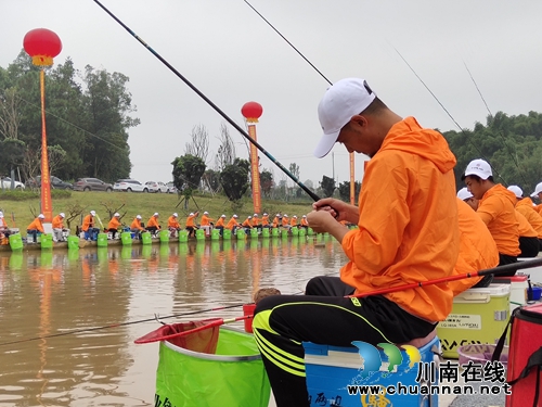 泸州：全国钓鱼精英邀请赛&nbsp;&nbsp;高手齐聚以钓会友(图6)