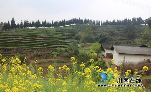 徐潋:简评官国柱作品《那溪那山那茶》承载的文化价值(图4) 徐潋:简评官国柱作品《那溪那山那茶》承载的文化价值(图4)