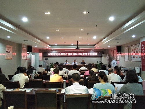 龙马潭区红星街道：创新“党建+”模式&nbsp;激发党建新活力(图1)