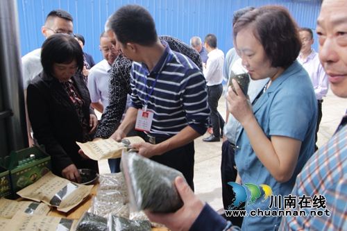 合江参宝镇：“小花椒”助力“扶贫大产业”(图1)