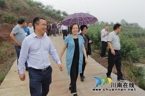 合江参宝镇：“小花椒”助力“扶贫大产业”(图3)