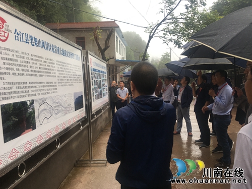 合江：2020年底&nbsp;基本消除直接威胁地灾隐患点(图5)