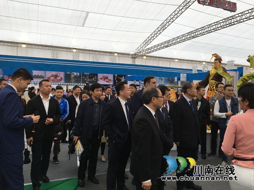 2018第六届中国（泸州）西南商品博览会开幕(图5)