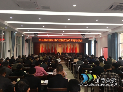 泸县潮河镇召开农村产权制度改革专题培训会(图1)