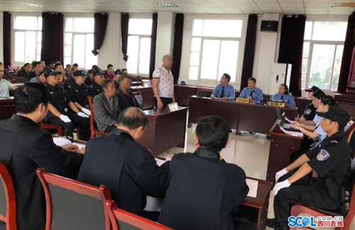 泸州首例!非法采伐出售桢楠8株 被判补种40株(图2) 泸州首例!非法采伐出售桢楠8株 被判补种40株(图2)