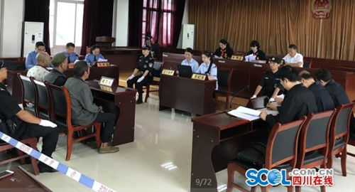 泸州首例!非法采伐出售桢楠8株 被判补种40株(图1) 泸州首例!非法采伐出售桢楠8株 被判补种40株(图1)