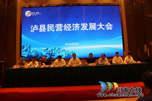 泸县召开民营经济发展大会(图1)
