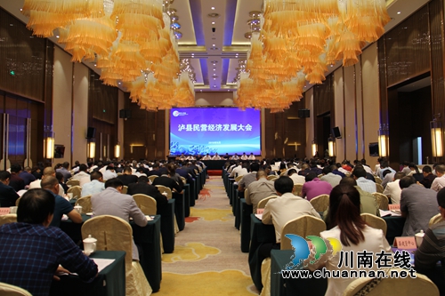 泸县召开民营经济发展大会(图5)