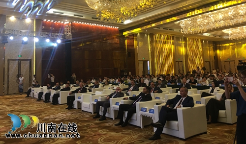 川南临港片区与“一带一路”国家馆等紧密联系(图3)