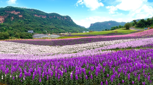 走山水看人文 处处是景;在泸州吃玩购 亦能尽兴(图2) 走山水看人文 处处是景;在泸州吃玩购 亦能尽兴(图2)
