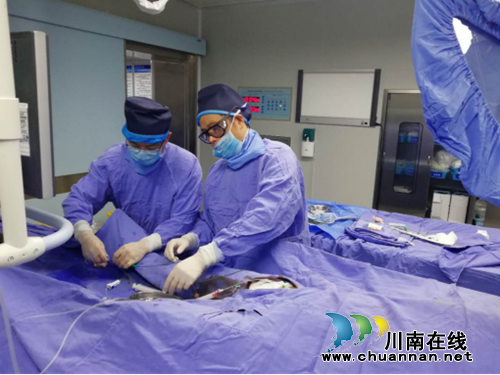 泸州市人民医院神经内科成功开展脑血管病介入治疗(图1)