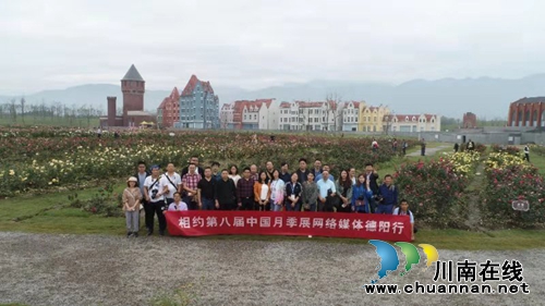 德阳绵竹：3000种、45万盆月季等你来赏！(图1)