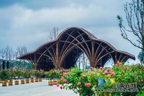 德阳绵竹：3000种、45万盆月季等你来赏！(图3)