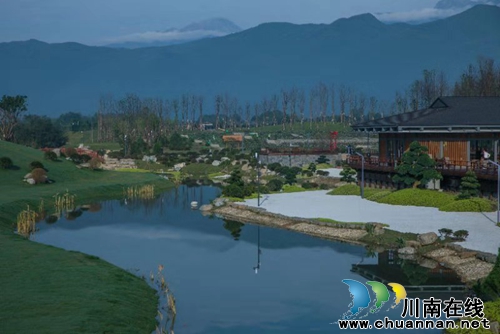 德阳绵竹：3000种、45万盆月季等你来赏！(图6)