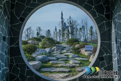 德阳绵竹：3000种、45万盆月季等你来赏！(图7)