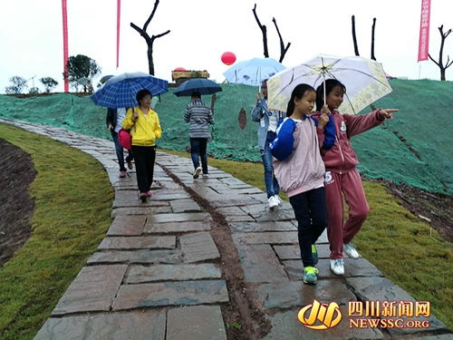 自贡富顺首届彩绘稻田艺术节启幕(图2)