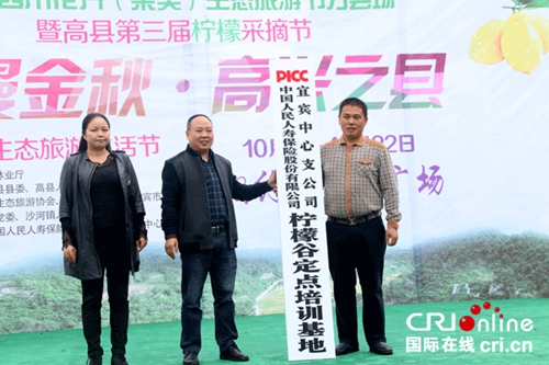 宜宾市高县举办第三届柠檬采摘节(图2)