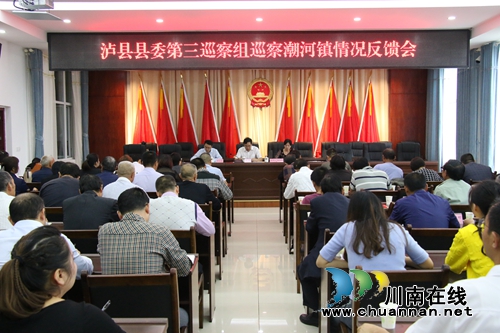 泸县县委第三巡察组到潮河镇召开巡察情况反馈会(图1)