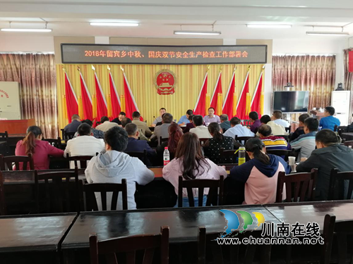 宜宾留宾乡积极开展节前安全大检查(图1)