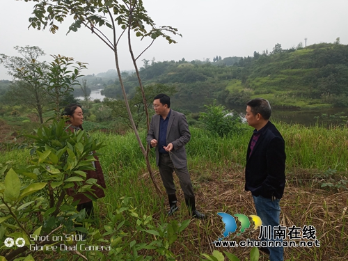 泸县百和镇开展土地流转调研工作(图2)