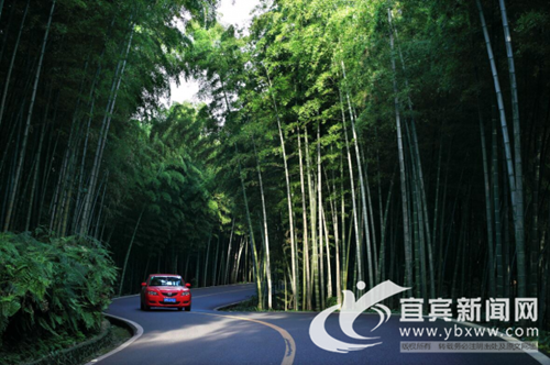 蜀南竹海今日启用观光车&nbsp;游客车辆不再进景区(图3)