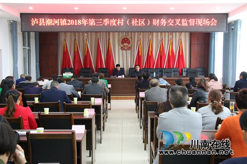 泸县潮河镇开展2018年第三季度村级财务交叉检查(图1)