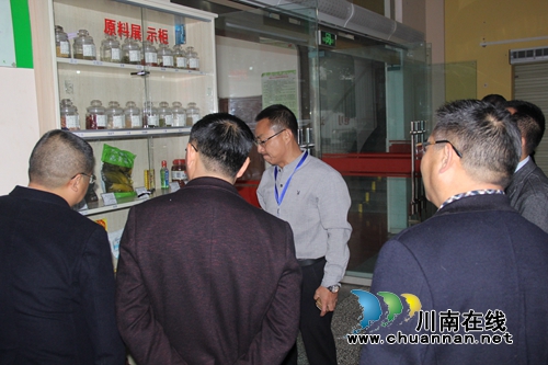 泸县人民政府检查调研泸县建校后勤服务管理工作(图2)