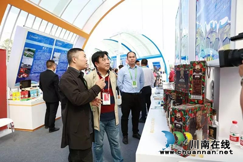 泸州团队惊艳亮相省首届创业博览会(图3)