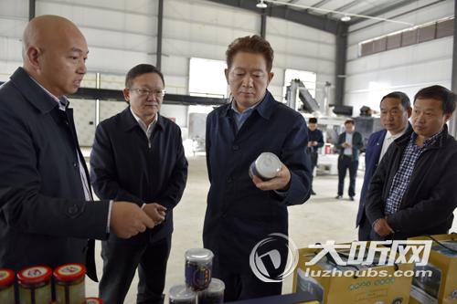 市委副书记、市政府党组书记杨林兴古叙调研(图2)