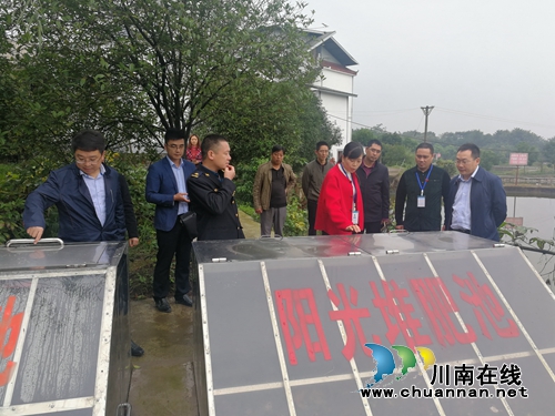 张学彬率队调研泸县云龙镇垃圾分类工作(图1)