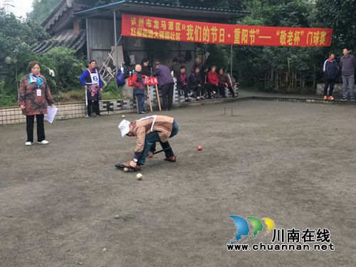 龙马潭红星街道大驿坝社区开展“敬老杯”门球赛庆重阳(图2)