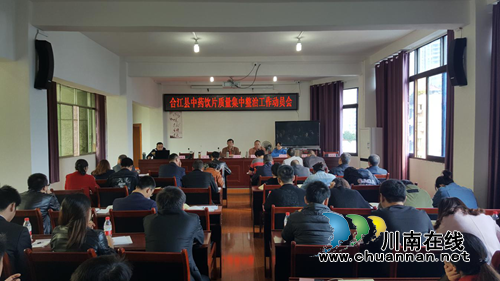 合江县召开中药饮片质量安全集中整治工作动员会(图1)