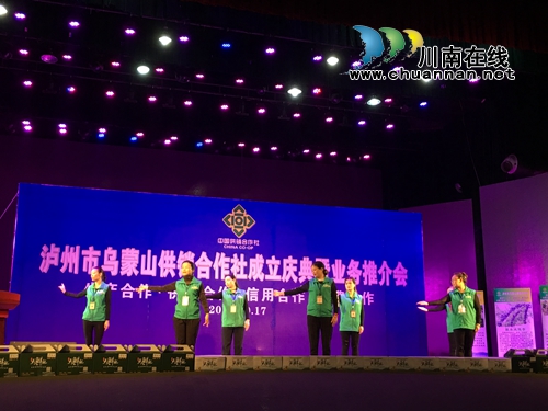 全省首家市级新型基层供销合作社在泸州成立(图4)