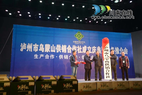 全省首家市级新型基层供销合作社在泸州成立(图3)