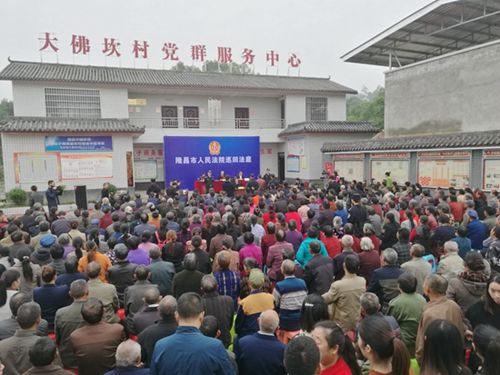 烧树叶致千亩森林耕地被毁&nbsp;隆昌一村民遭惨了(图1)