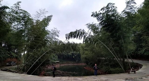 重阳登高赤水戈千崖，体验步步惊心7D玻璃桥(图17)