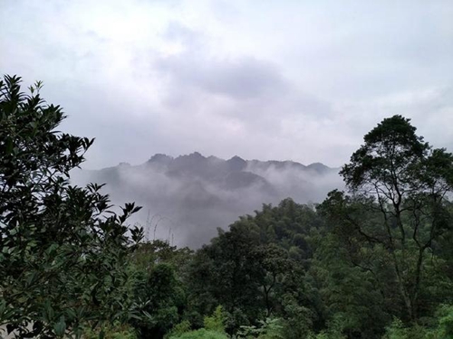 重阳登高赤水戈千崖，体验步步惊心7D玻璃桥(图19)